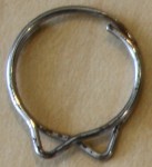 Ring paper clip specimen.jpg (10854 bytes)